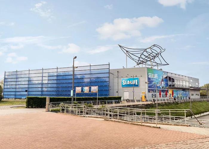 Hotel Super 8 By Wyndham Am Centro 3*